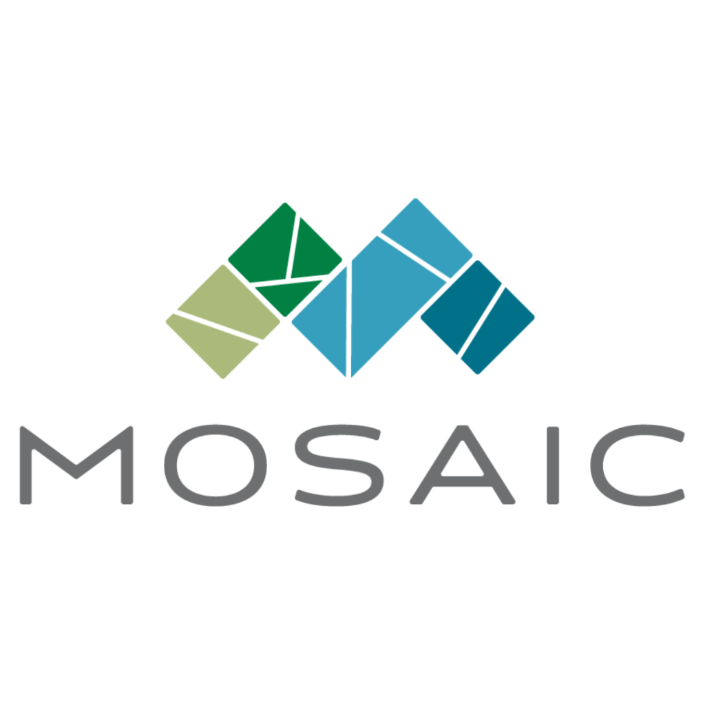 Mosaic Website