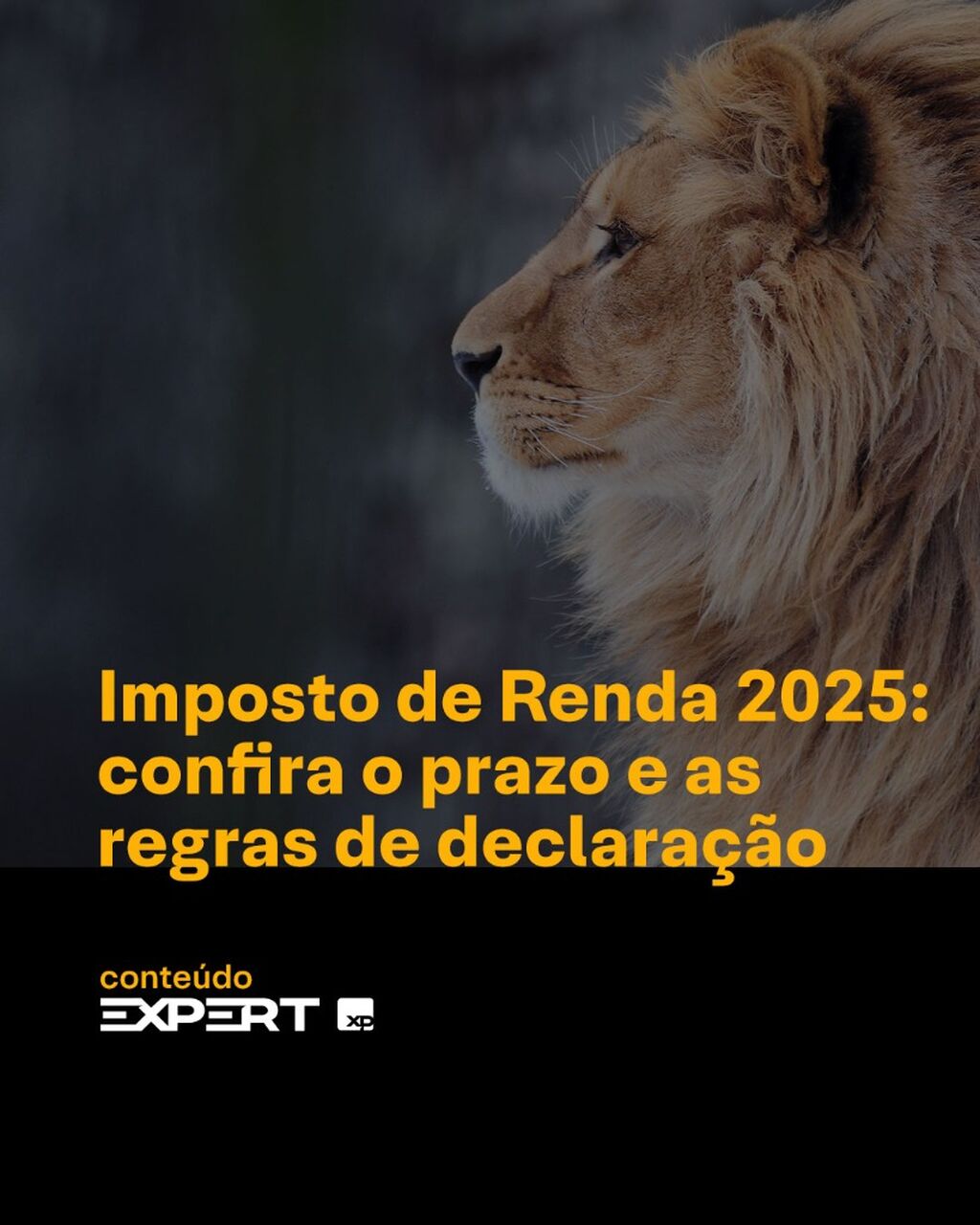 IRPF 2025: Receita divulga regras do Imposto de Renda; confira quem precisa declarar