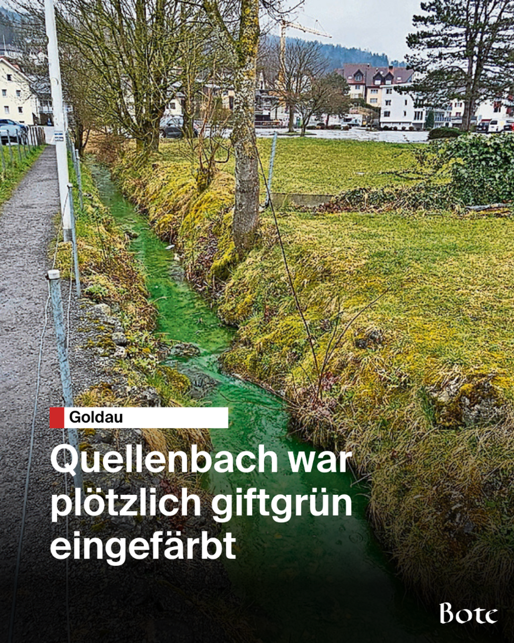 Giftgr&uuml;n