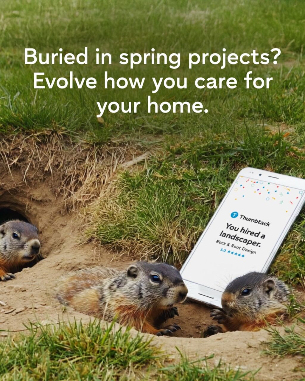 Tunneling through endless yard ideas?