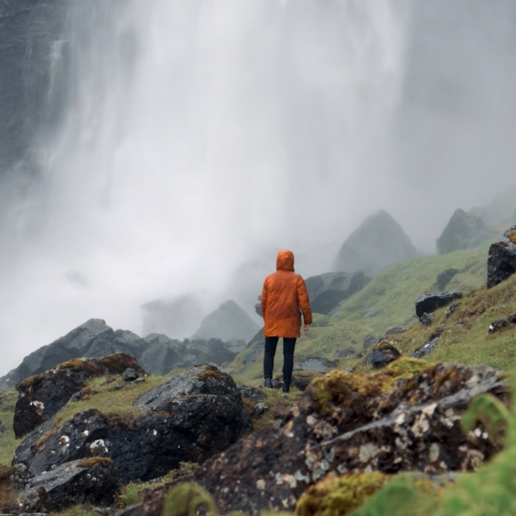 nature trips