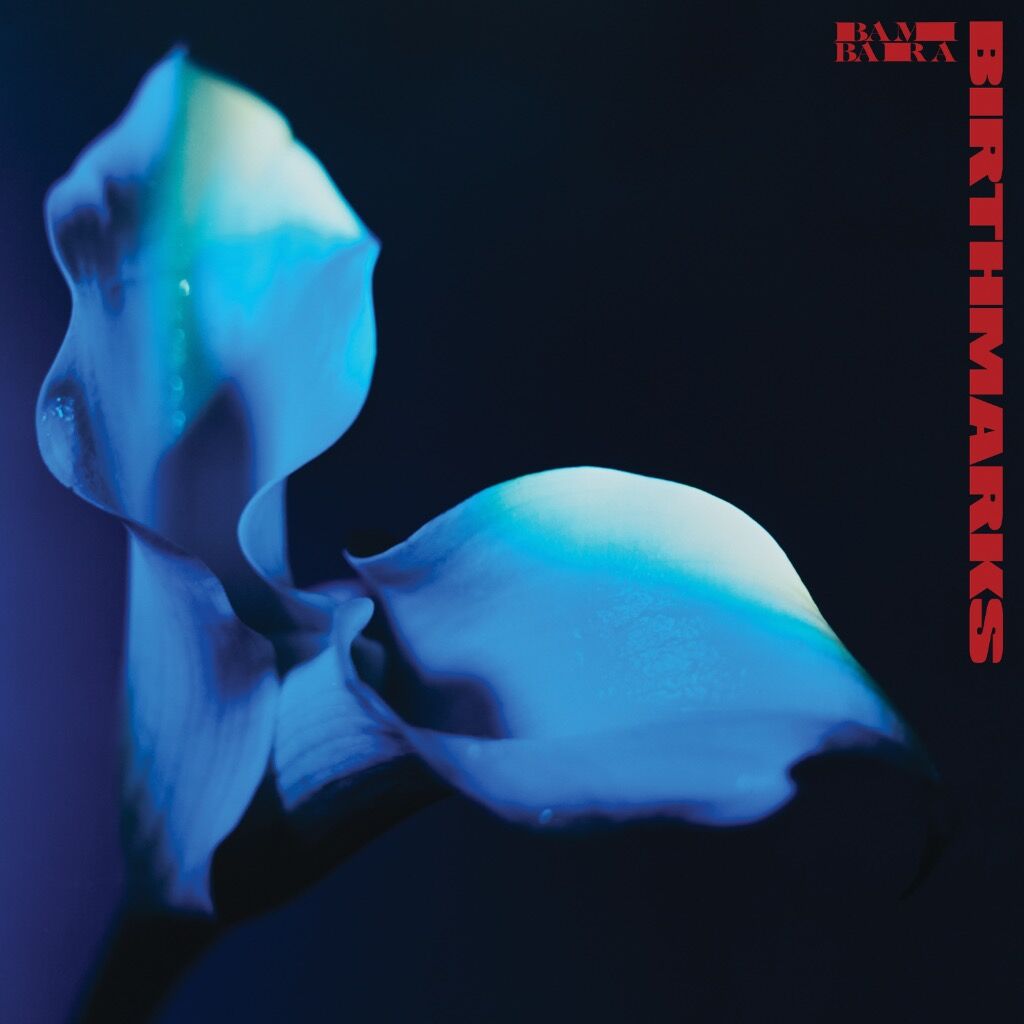 Order & Stream Birthmarks