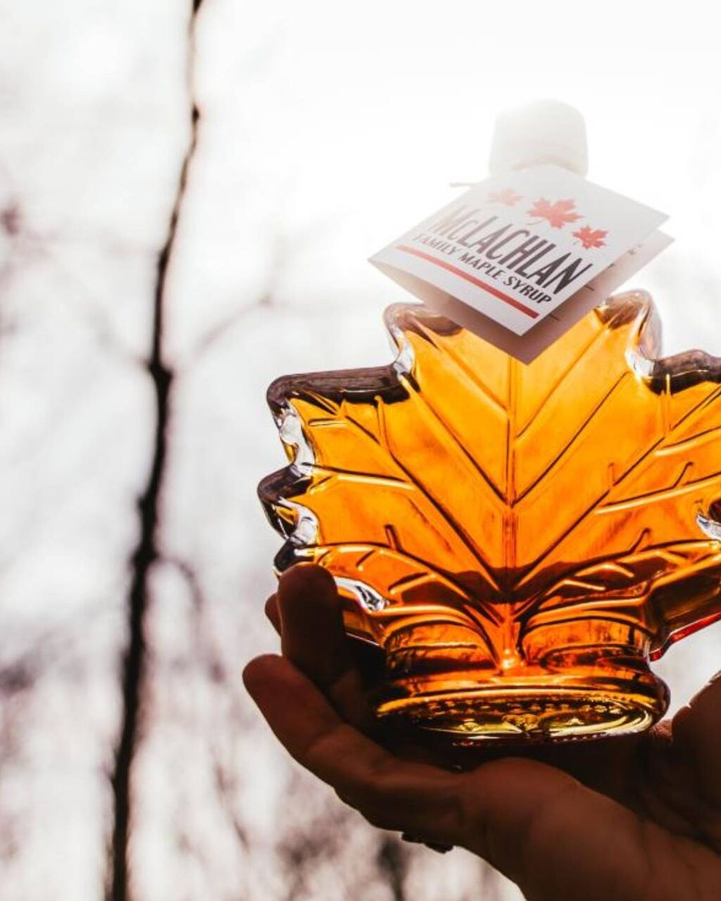 sweet-maple-adventures-in-ontarios-southwest-a-road-trip-guide/