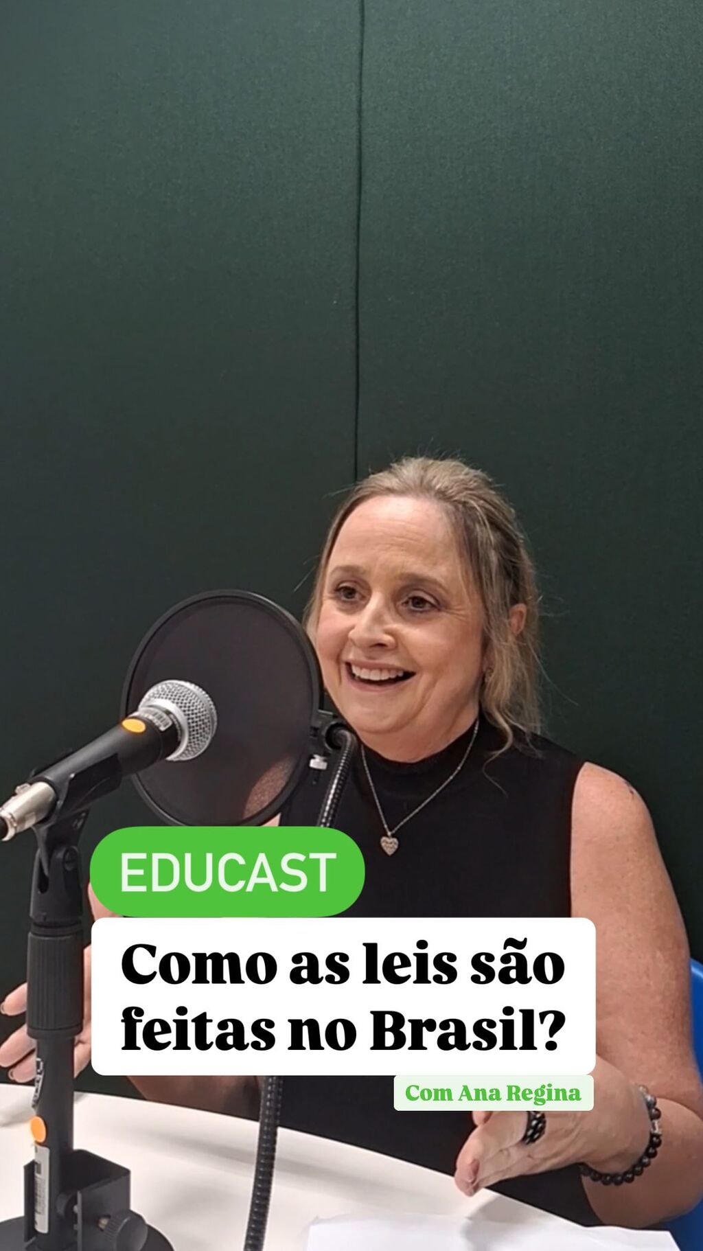 Quer entender de verdade como as leis s&atilde;o feitas no Brasil?
