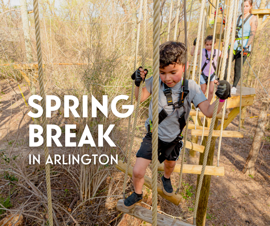 Arlington Spring Break Round-Up 2025