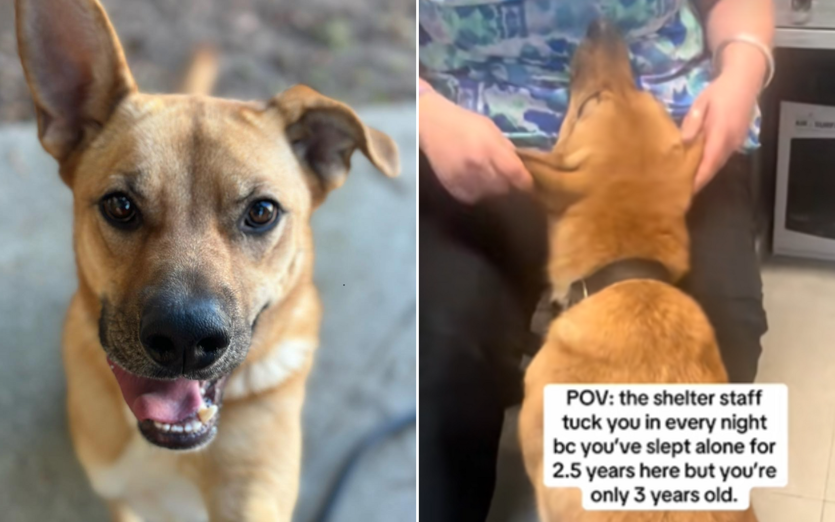 Newsweek PUNKIN