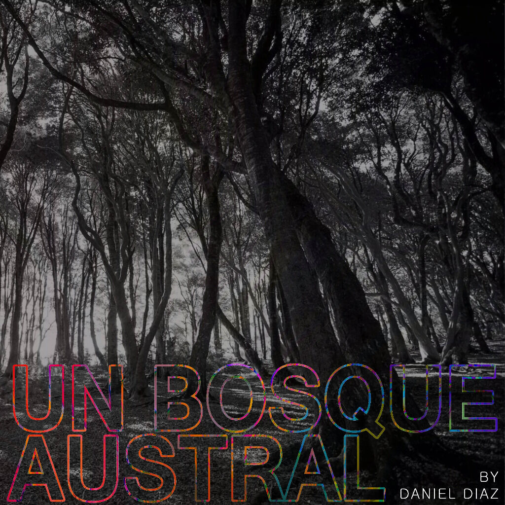 Un Bosque Austral
