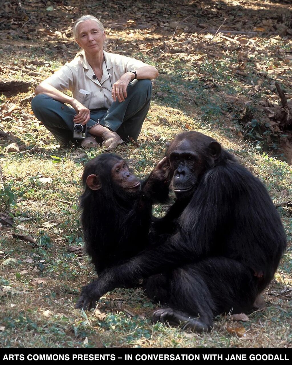 In Conversation with Jane Goodall