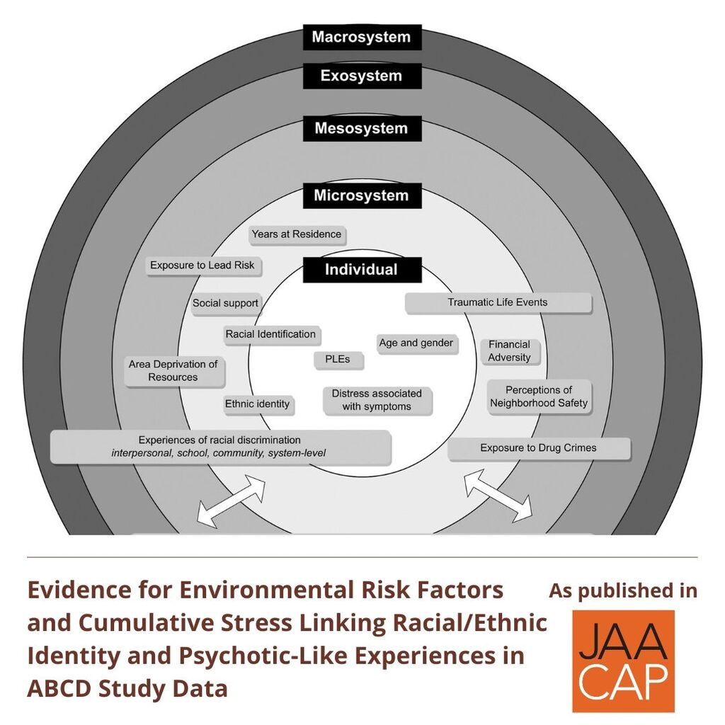 JAACAP 0325 Evidence for Environmental Risk Factors and Cumulative