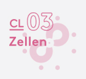 CL 03 Zellen