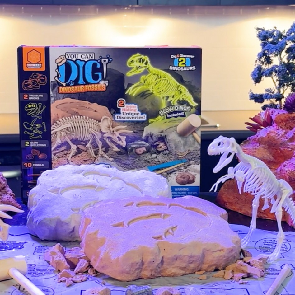 ArtSkills Dig Kits