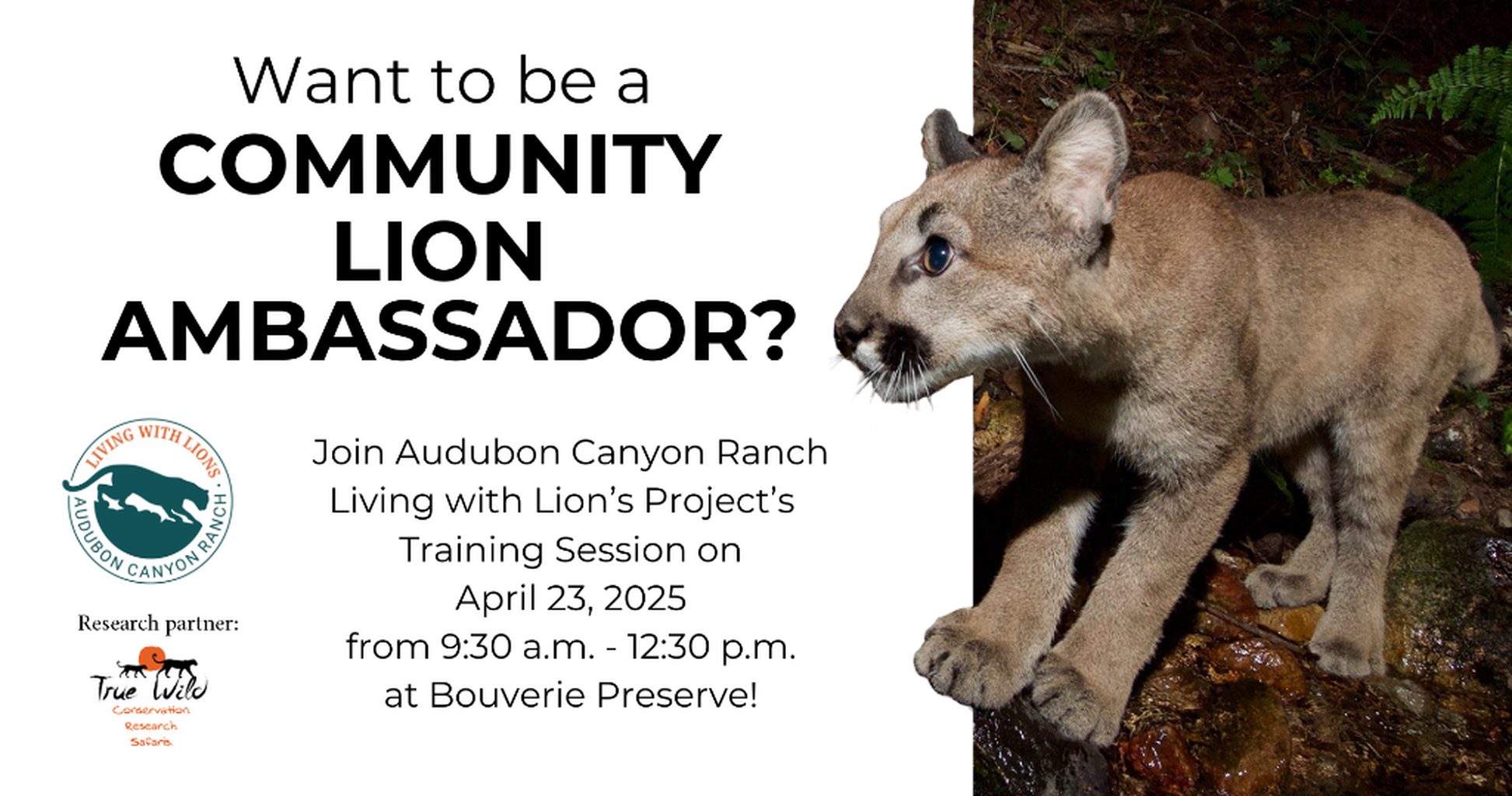 Want to be a Community Lion Ambassador?