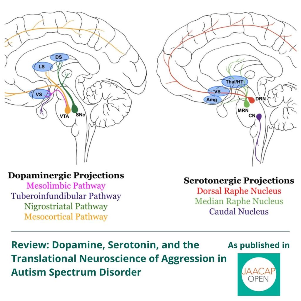 JAACAP Open 0325 Review: Dopamine, Serotonin, and the Translational Neuroscience