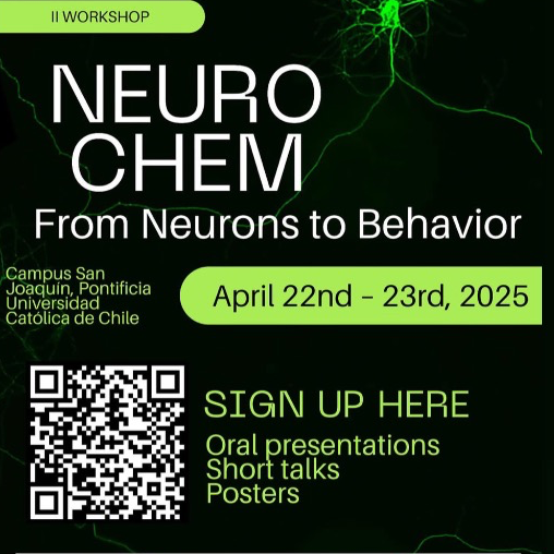 From Neurons to Behavior 