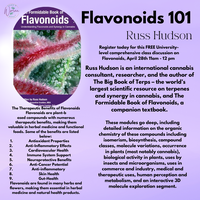 Flavonoids 101