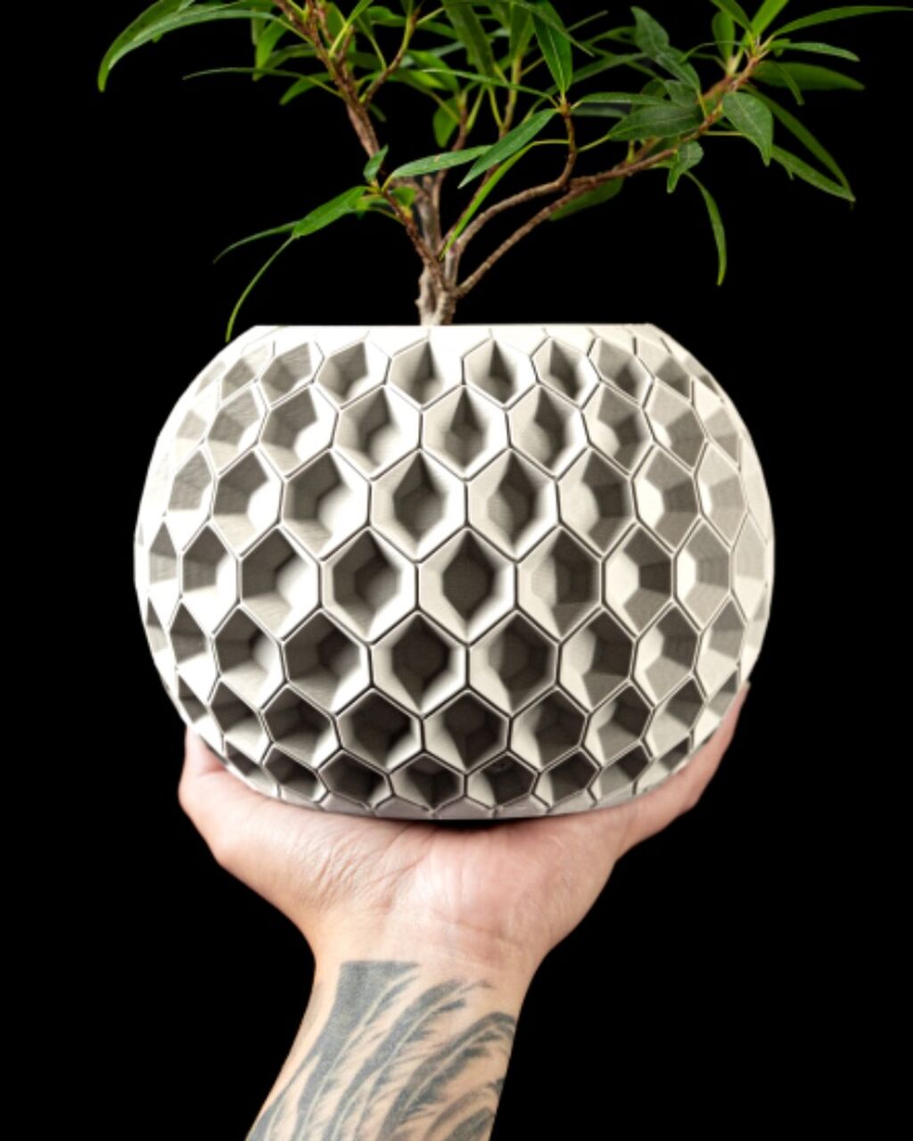 Hexa Planter Pot 02