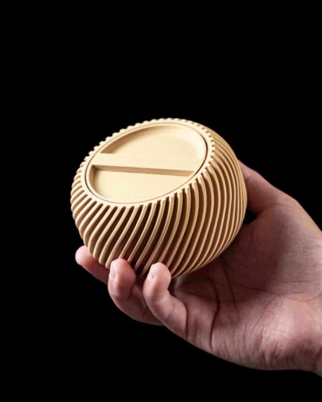 Mini Storage Container