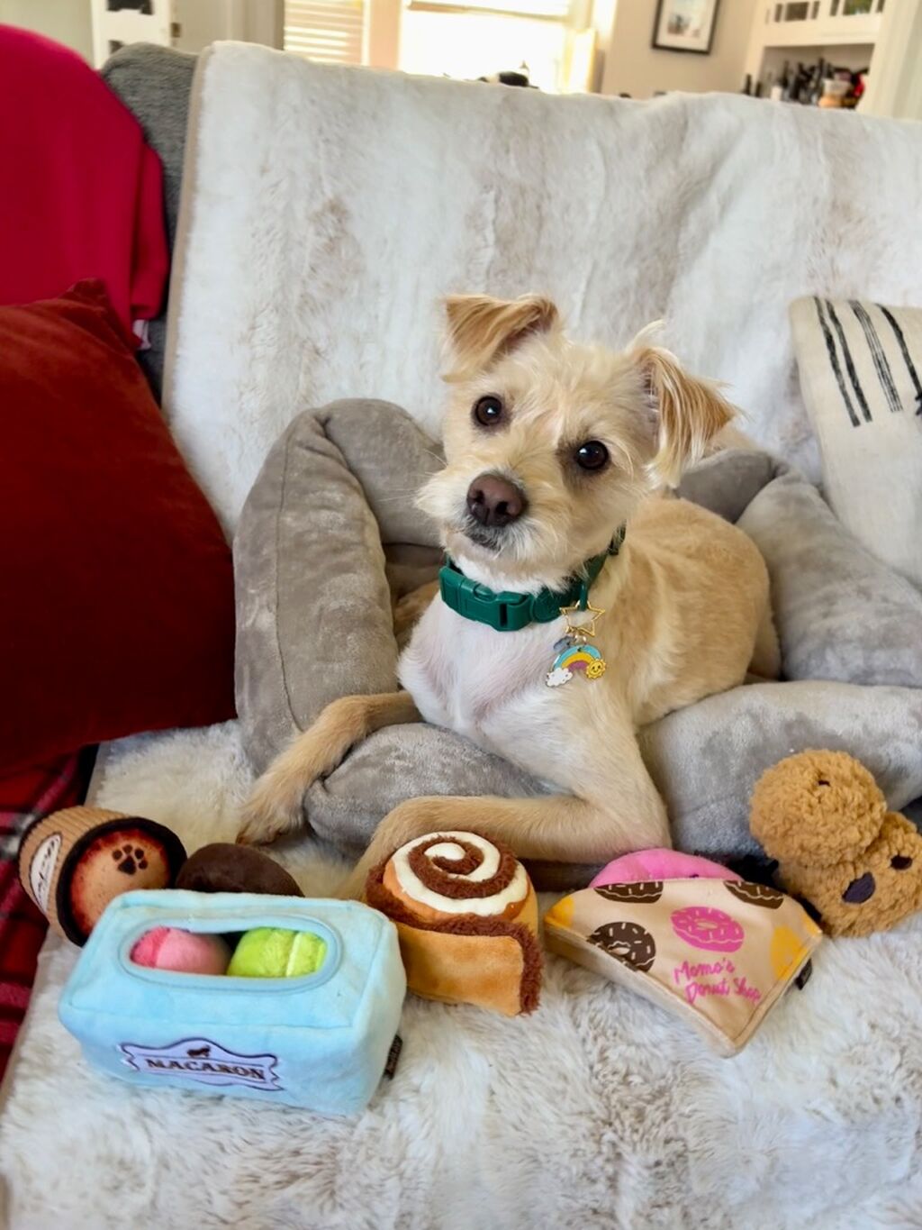 Code ☕️Douglas☕️ will save you 25% off all PetPlay SF toys!