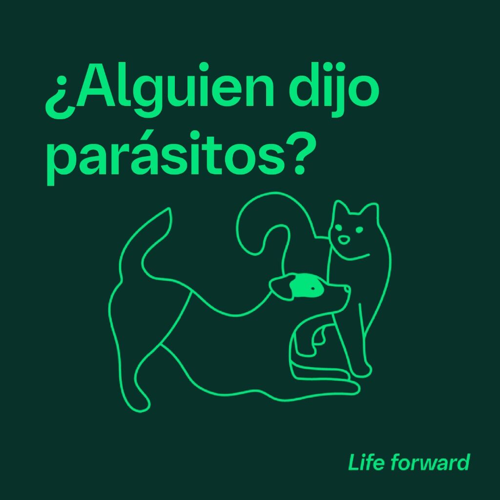 &iquest;Alguien dijo par&aacute;sitos?