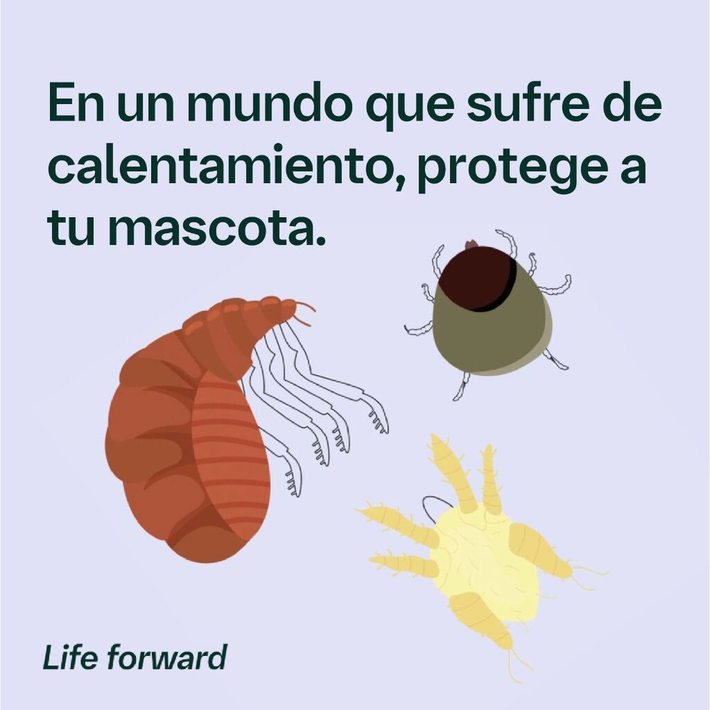 Par&aacute;sitos en mascotas