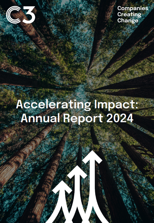 Accelerating Impact: Annual Report 2024