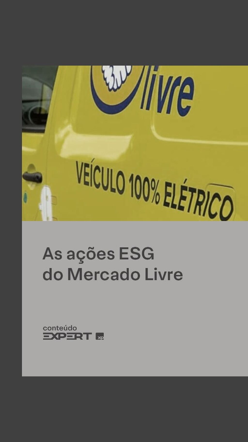 Mercado Livre (MELI): Comprometido em deixar sua sacola de compras mais verde