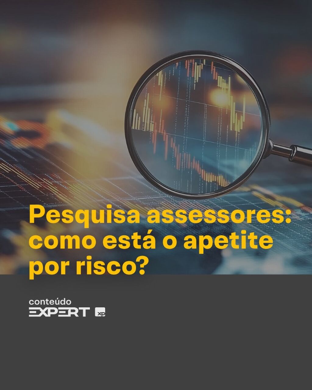 Pesquisa Assessores XP Mar&ccedil;o
