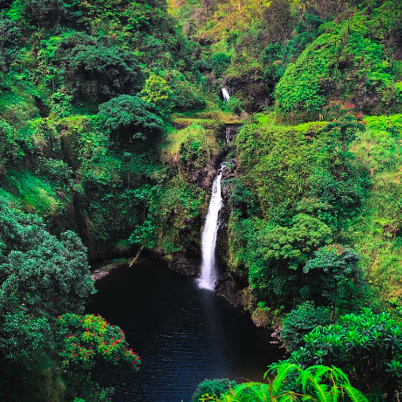 Explore Hawaii with Shaka Guide