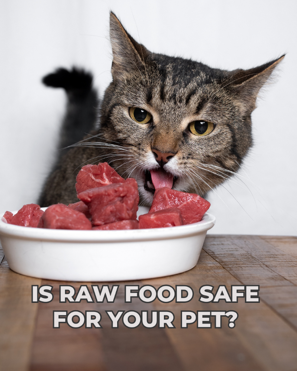 Raw Food For Pets