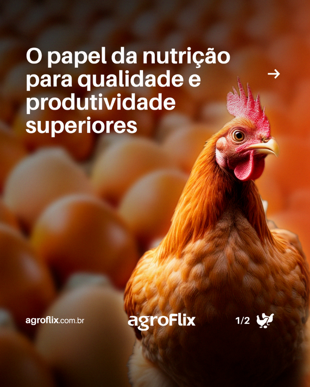 O papel da nutri&ccedil;&atilde;o para qualidade e produtividade 