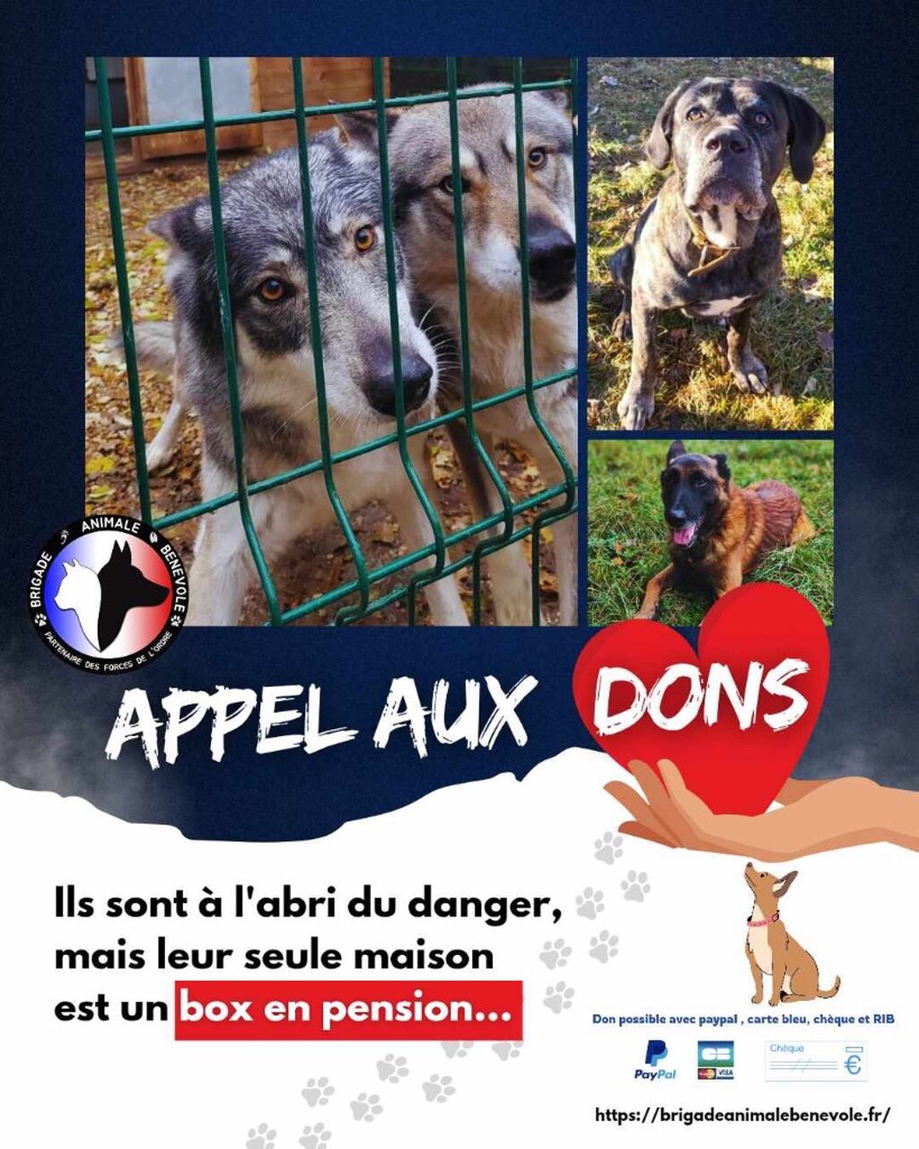 Aidez-nous &agrave; payer leurs loyers