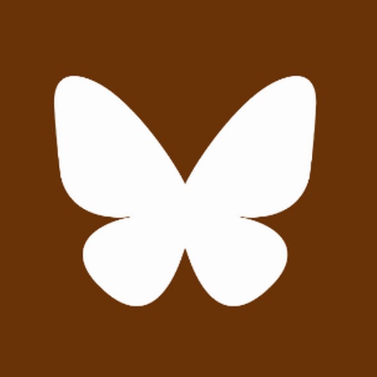 Youtube Channel's Bluesky