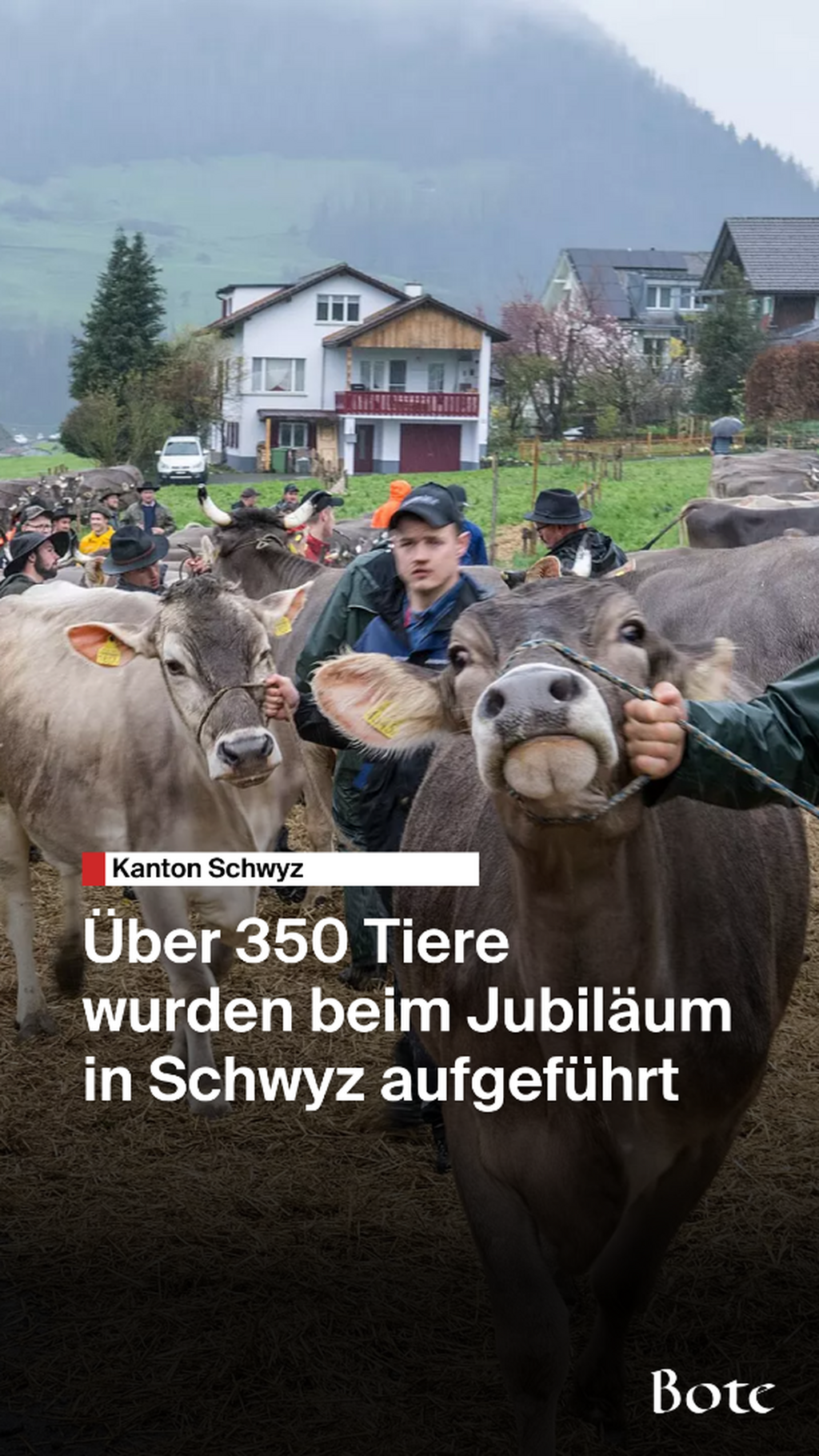 Viehzucht