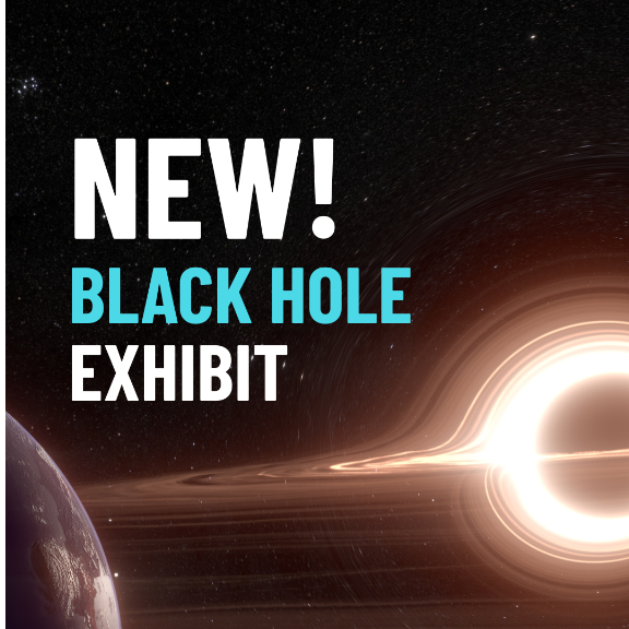 Black Hole Exhibit 