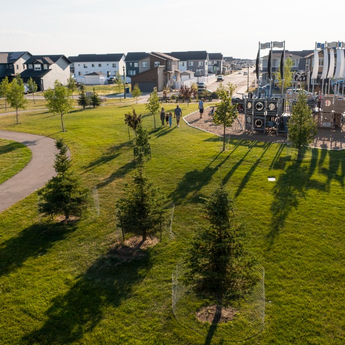 Discover Crosbie Park: A Central Community Gem