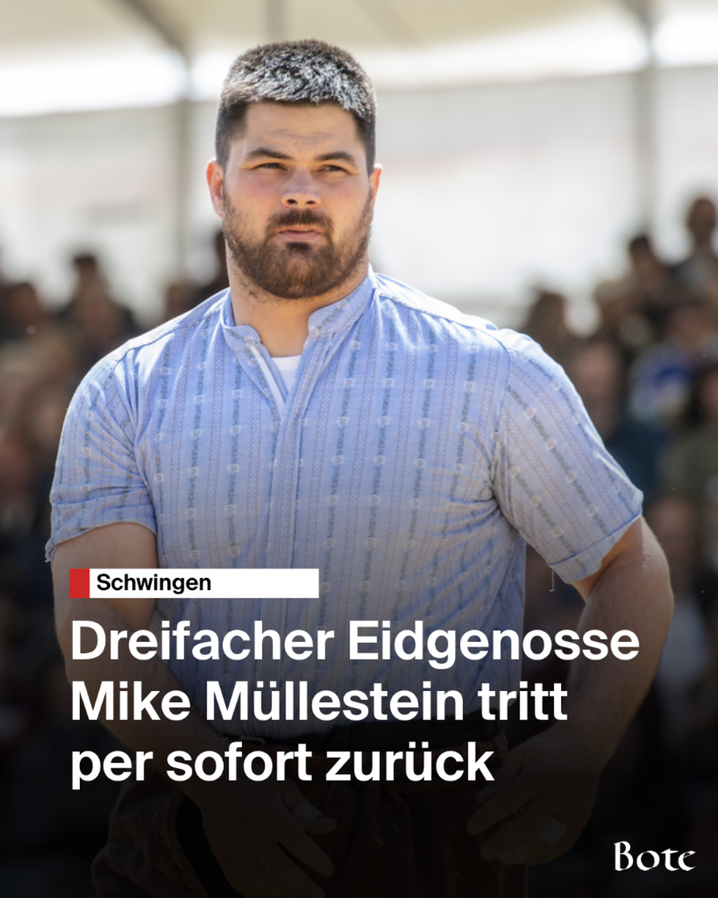 M&uuml;llestein