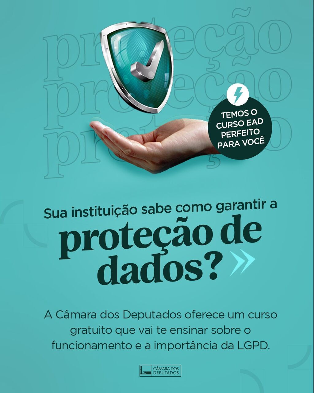 Curso Prote&ccedil;&atilde;o de Dados