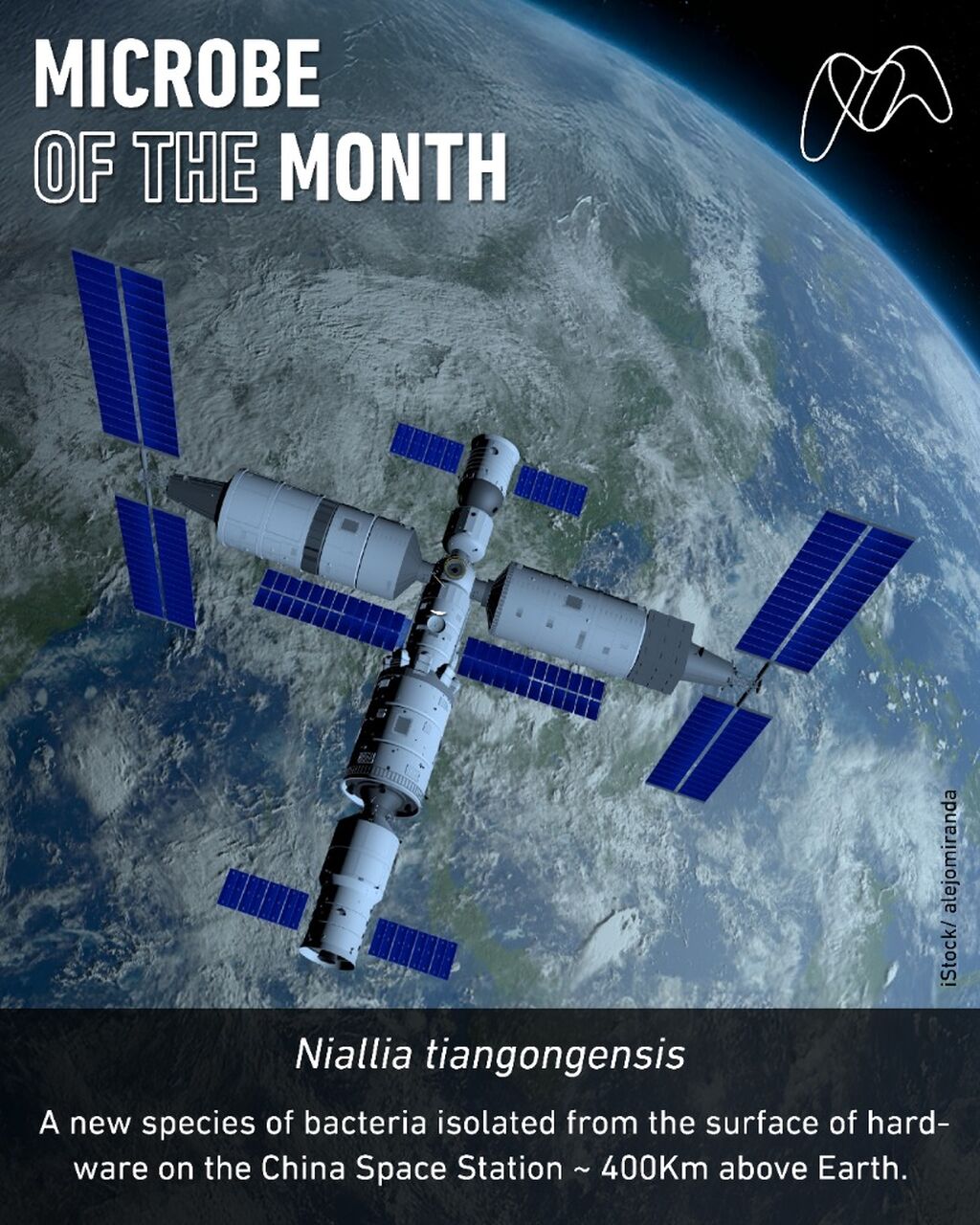 Microbe of the Month: April