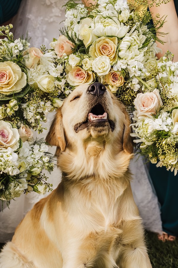 Inquire About Your Wedding Date
