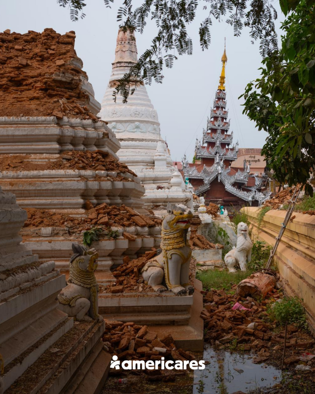 Rush Aid to Myanmar