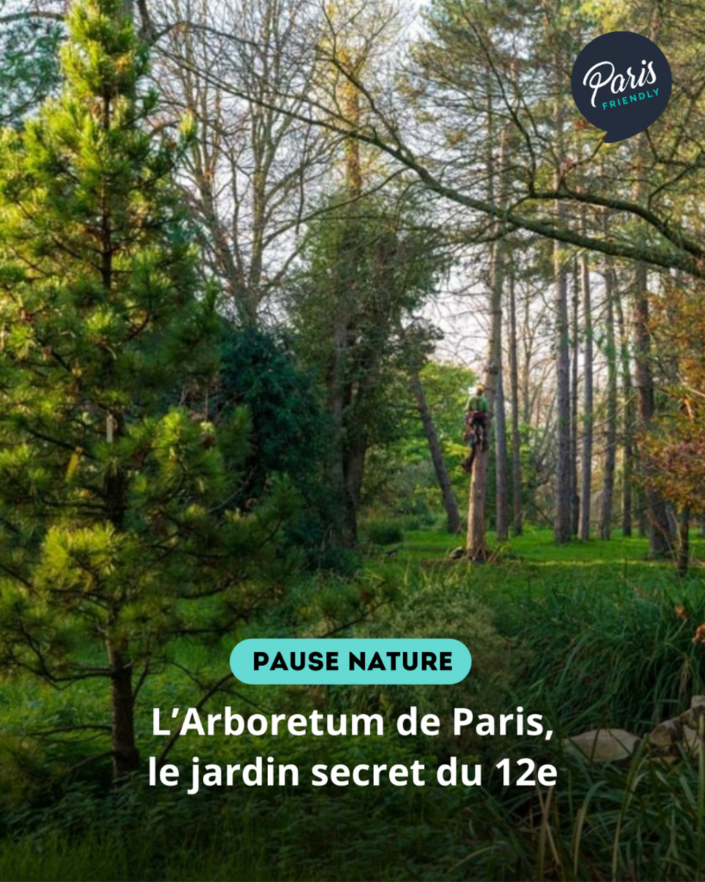 L&rsquo;Arboretum de Paris, le jardin secret du 12e