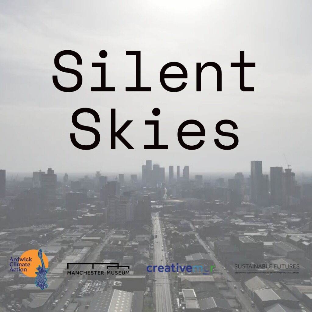 Silent Skies