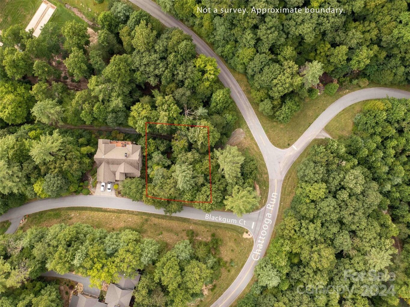 700 Blackgum Court