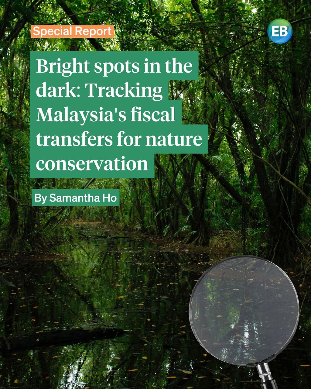 Tracking Malaysia's fiscal transfers for nature conservation