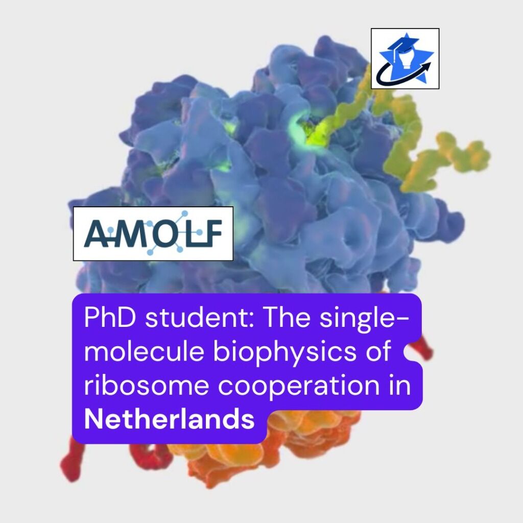 AMOLF, Netherlands