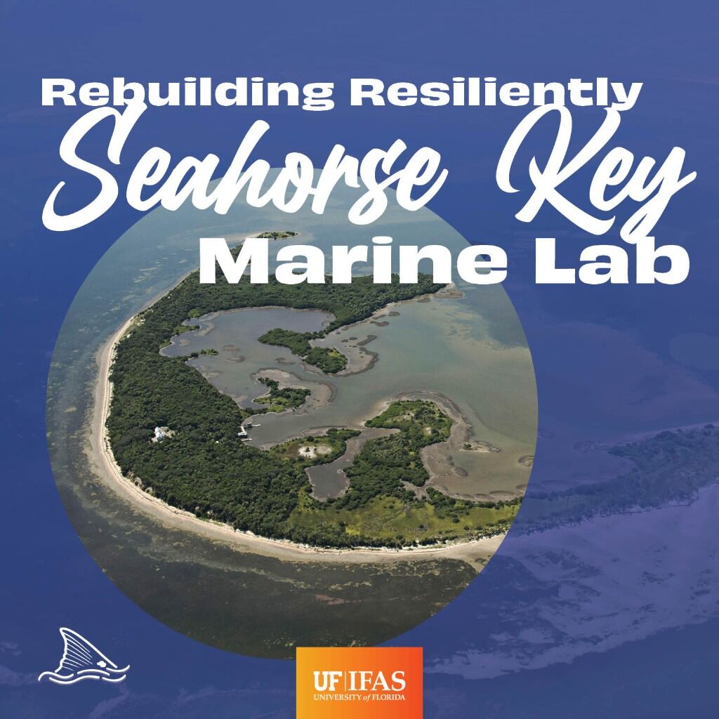 Building Resilience at Seahorse Key Marine Lab