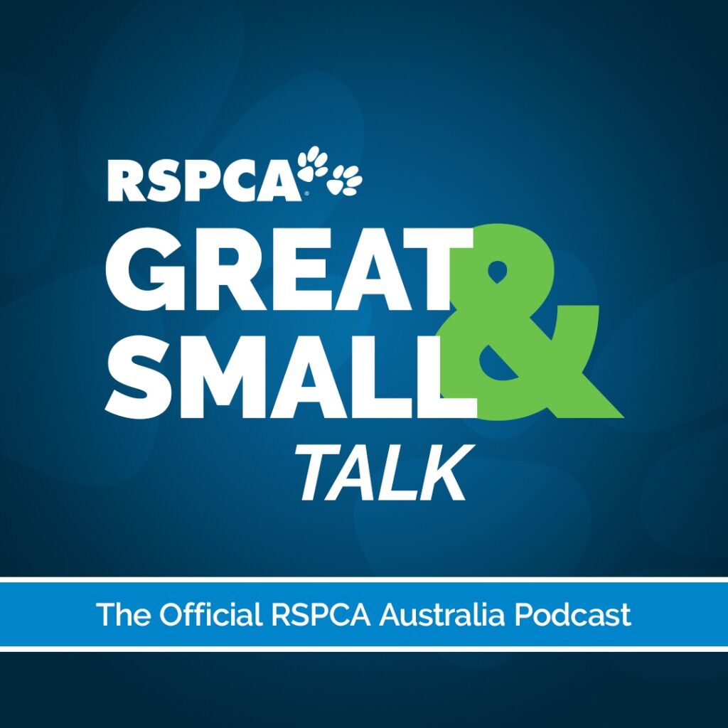 Great and Small Podcast