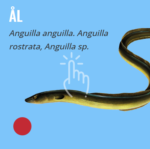 WWF's Fiskeguide