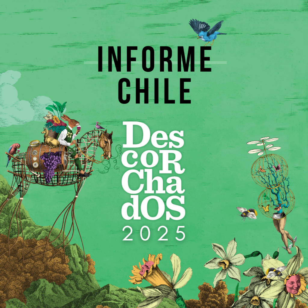 INFORME DESCORCHADOS CHILE 2025