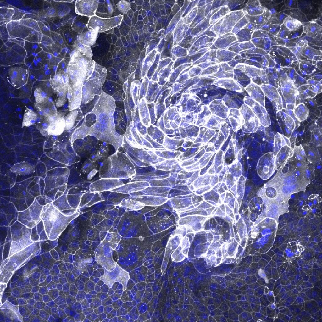 Startling Snapshots of Science